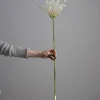 Blomst - Allium H107cm Hvit
