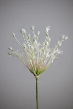 Blomst - Allium H107cm Hvit