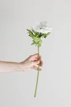 Blomst - Anemone H43cm Hvit