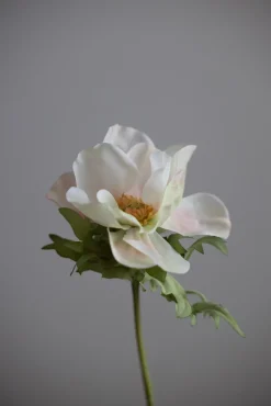 Blomst - Anemone H43cm Rosa