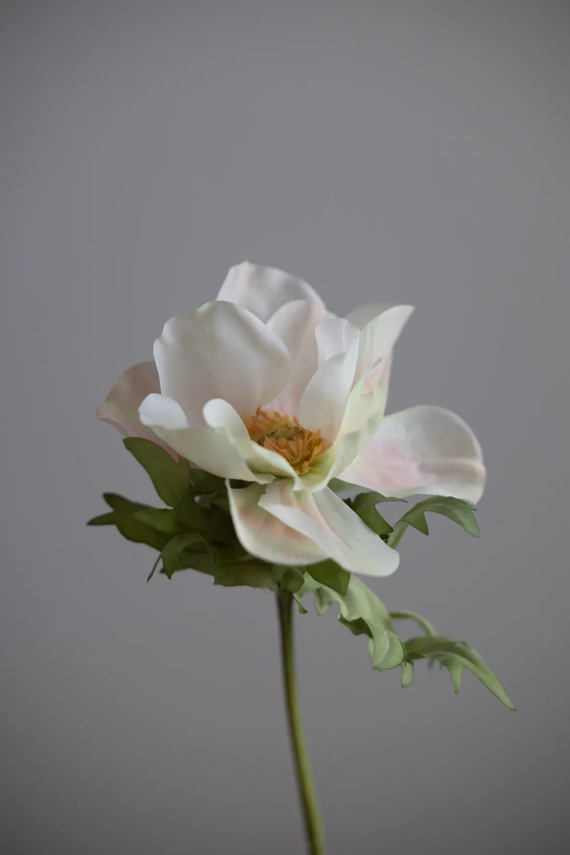 Blomst - Anemone H43cm Rosa