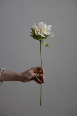 Blomst - Anemone H43cm Rosa