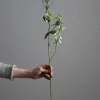 Blomst - Erteblomst H69cm Hvit