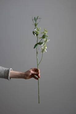 Blomst - Erteblomst H69cm Hvit