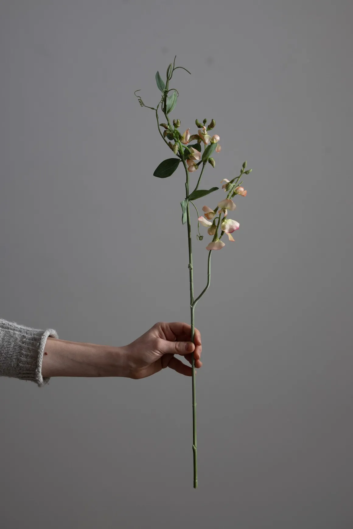 Blomst - Erteblomst H69cm Rosa