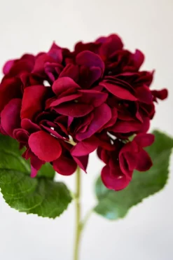 Blomst - Hortensia H55cm Rød