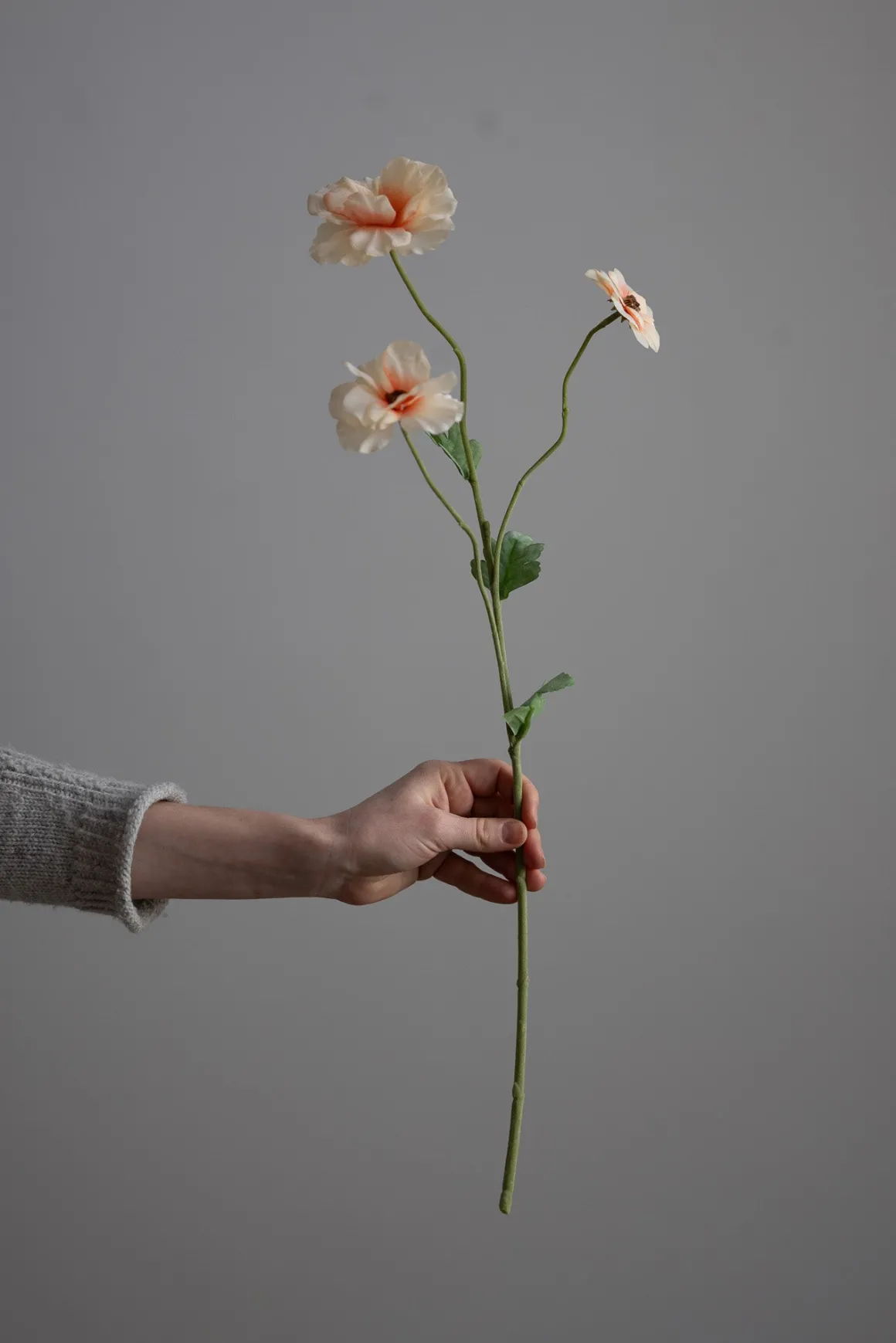 Blomst - Japansk Ranunkel H62cm