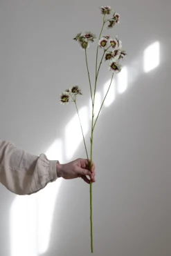 Blomst - Leucocoryne H89cm Grønn