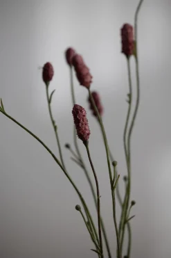 Blomst - Pimpinell 80cm Rosa