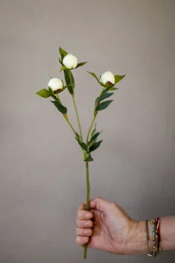 Blomst - Pion H45cm Hvit