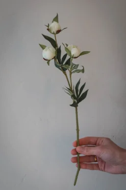 Blomst - Pion H45cm Hvit