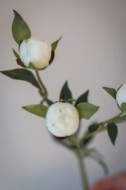 Blomst - Pion H45cm Hvit