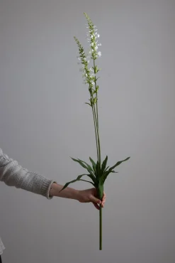 Blomst - Porselensveronika H100cm