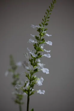 Blomst - Porselensveronika H100cm