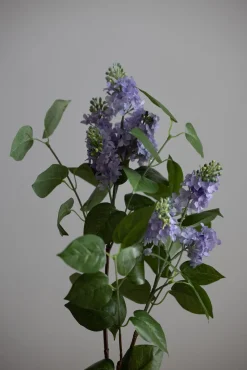 Blomst - Syrin H100cm