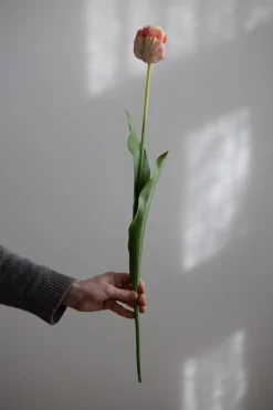 Blomst - Tulipan 67cm Rosa
