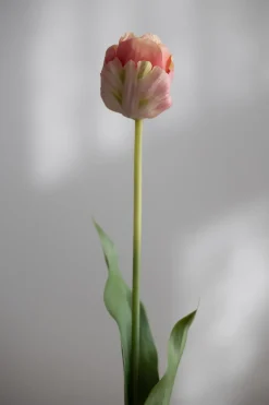 Blomst - Tulipan 67cm Rosa