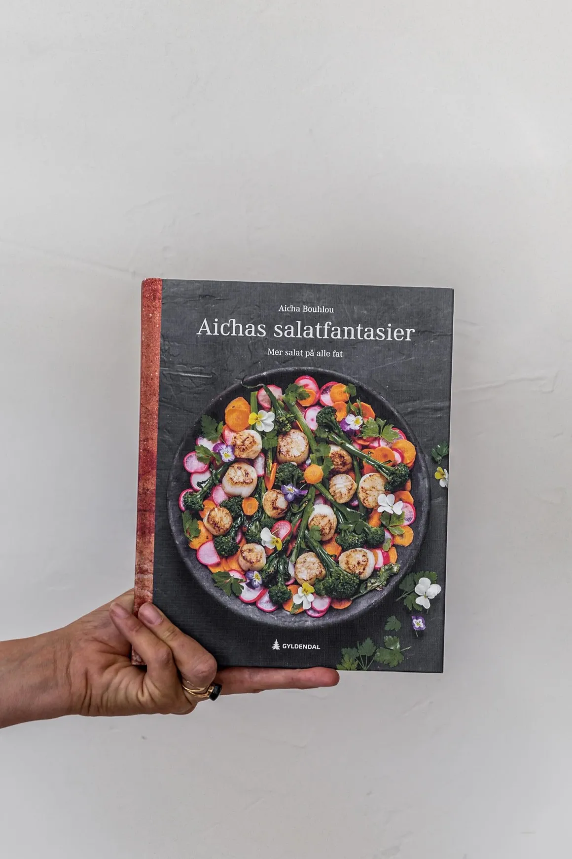 Bok - Aichas Salatfantasier