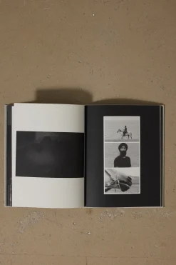 Bok - In My Dreams Last Night