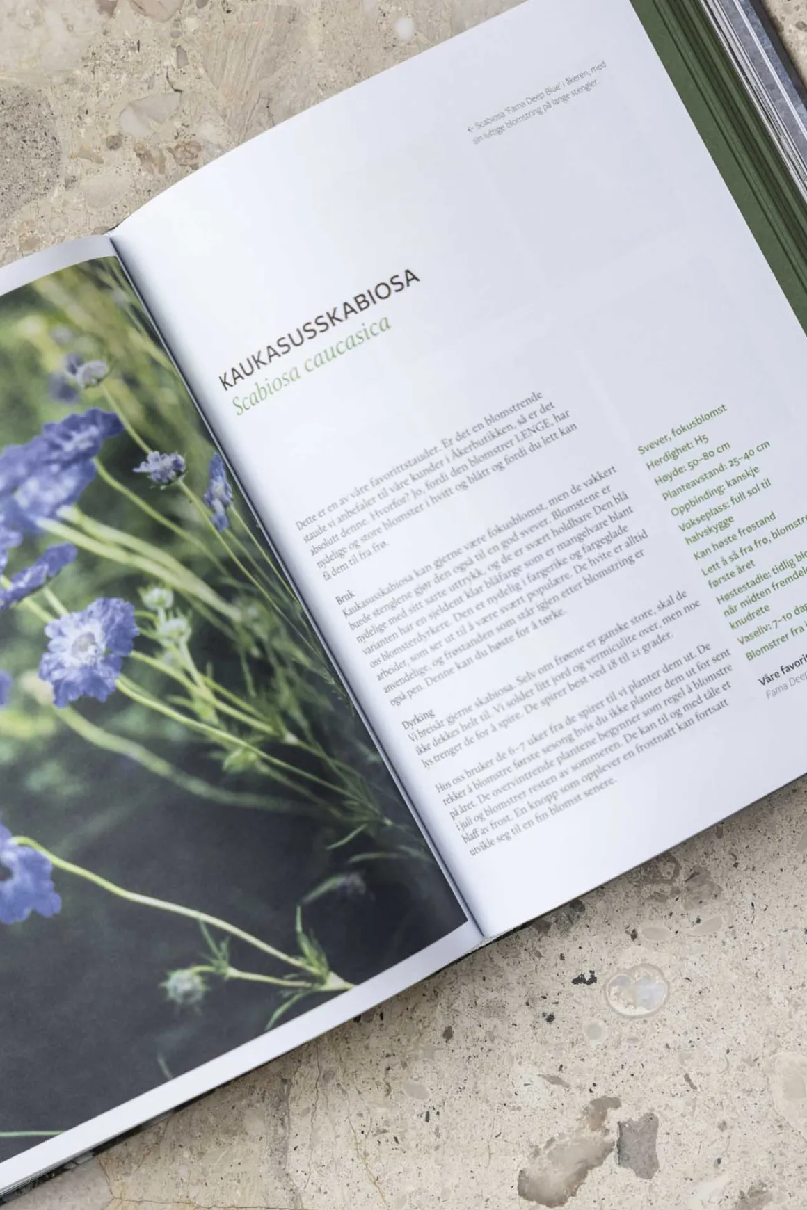 Bok - Kunsten Å Dyrke Snittblomster