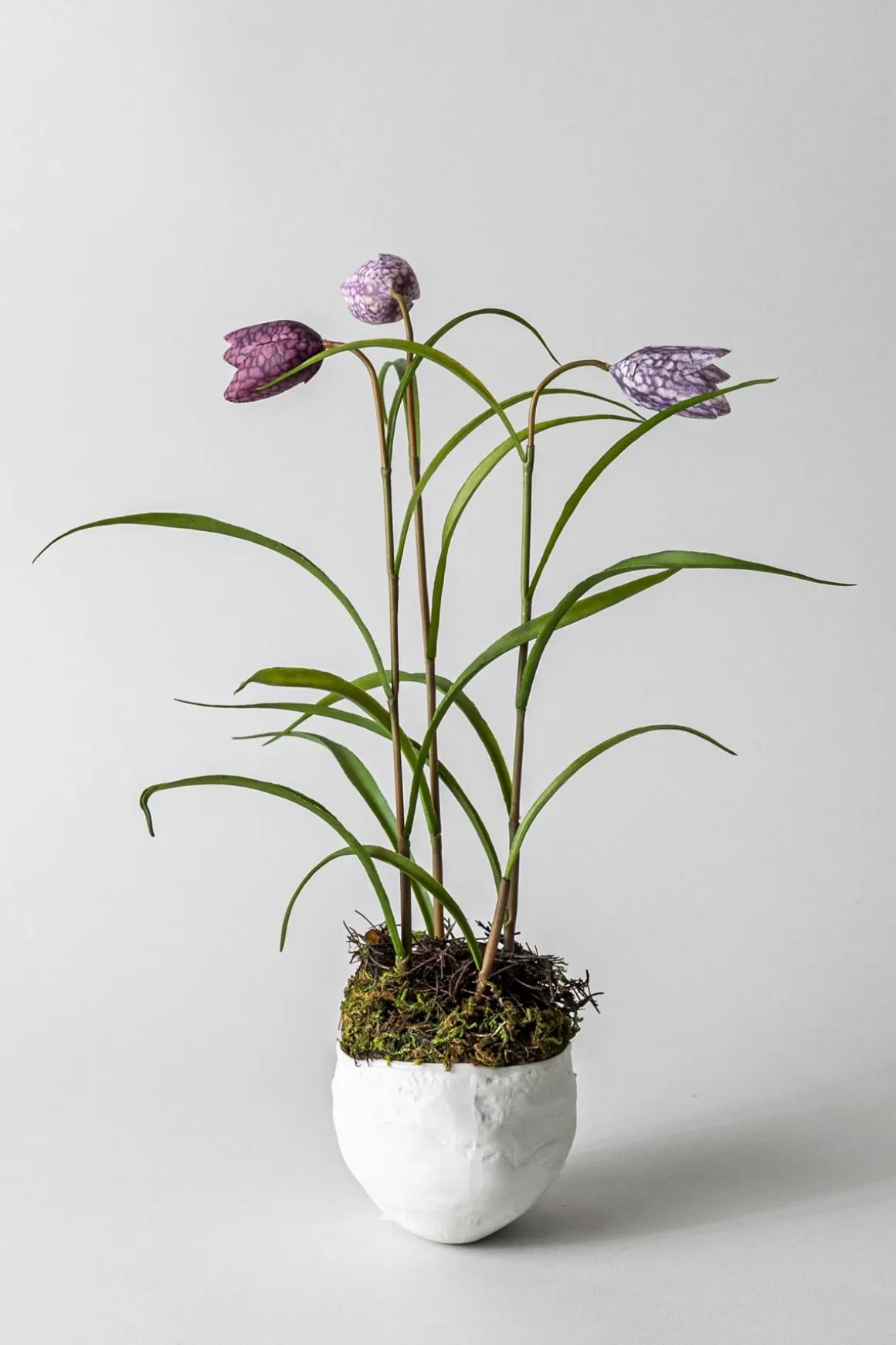 Bolle - Plaster Hvit