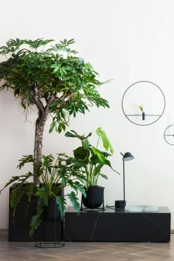 Bordlampe - Peek Black