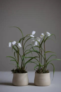 Kopp - u/Hank Naturlig Hvit