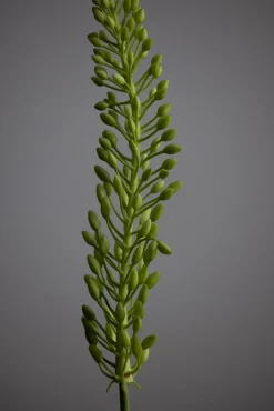 Kvist - Revehale 75cm