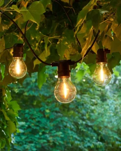 Lyslenke - Tobias 10L