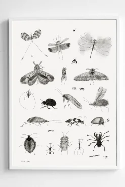 Plakat - Bugs 50x70cm