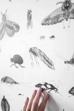 Plakat - Bugs 50x70cm