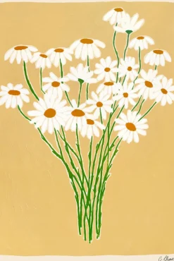 Plakat - Daisies A4