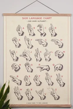 Plakatlist - Eik 71cm