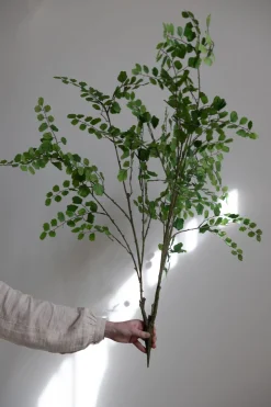 Plante - Bregne H113cm Grønn