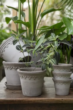 Potte - Københavner m/Skål Grå