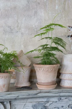 Potte - Københavner m/Skål Rose