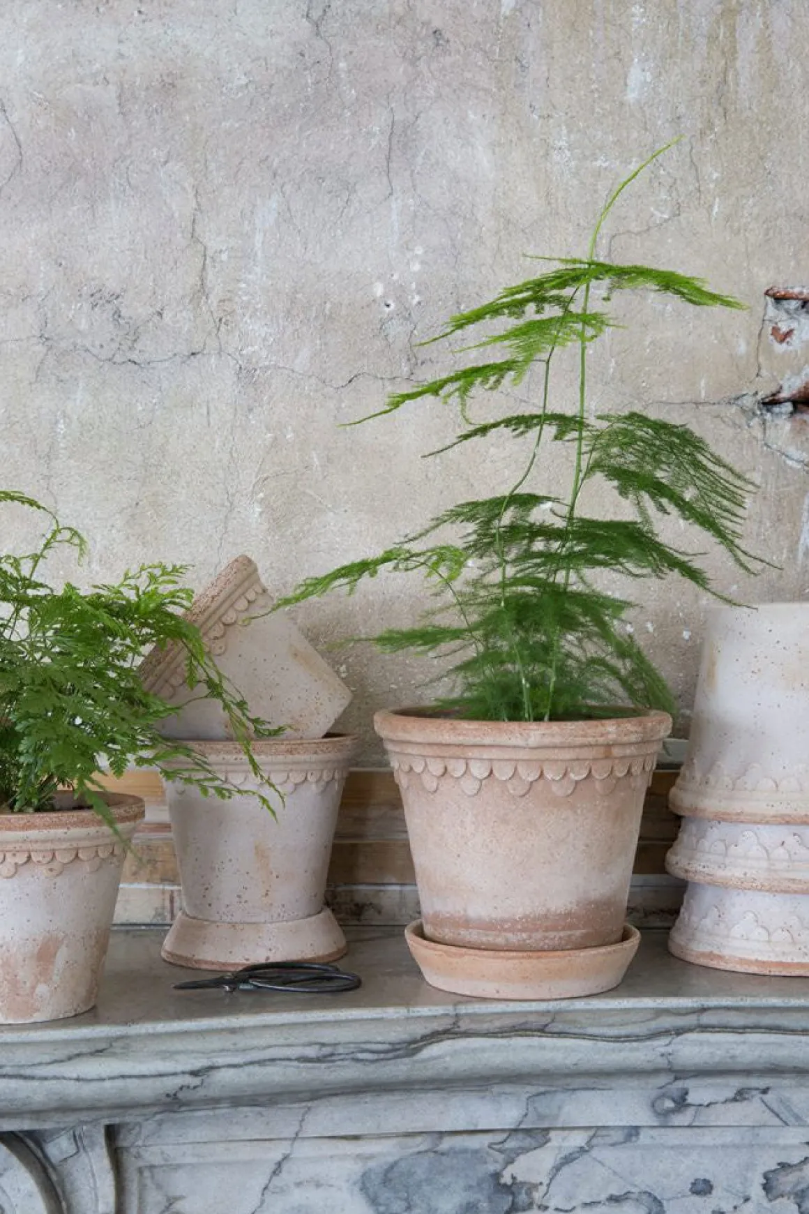 Potte - Københavner m/Skål Rose