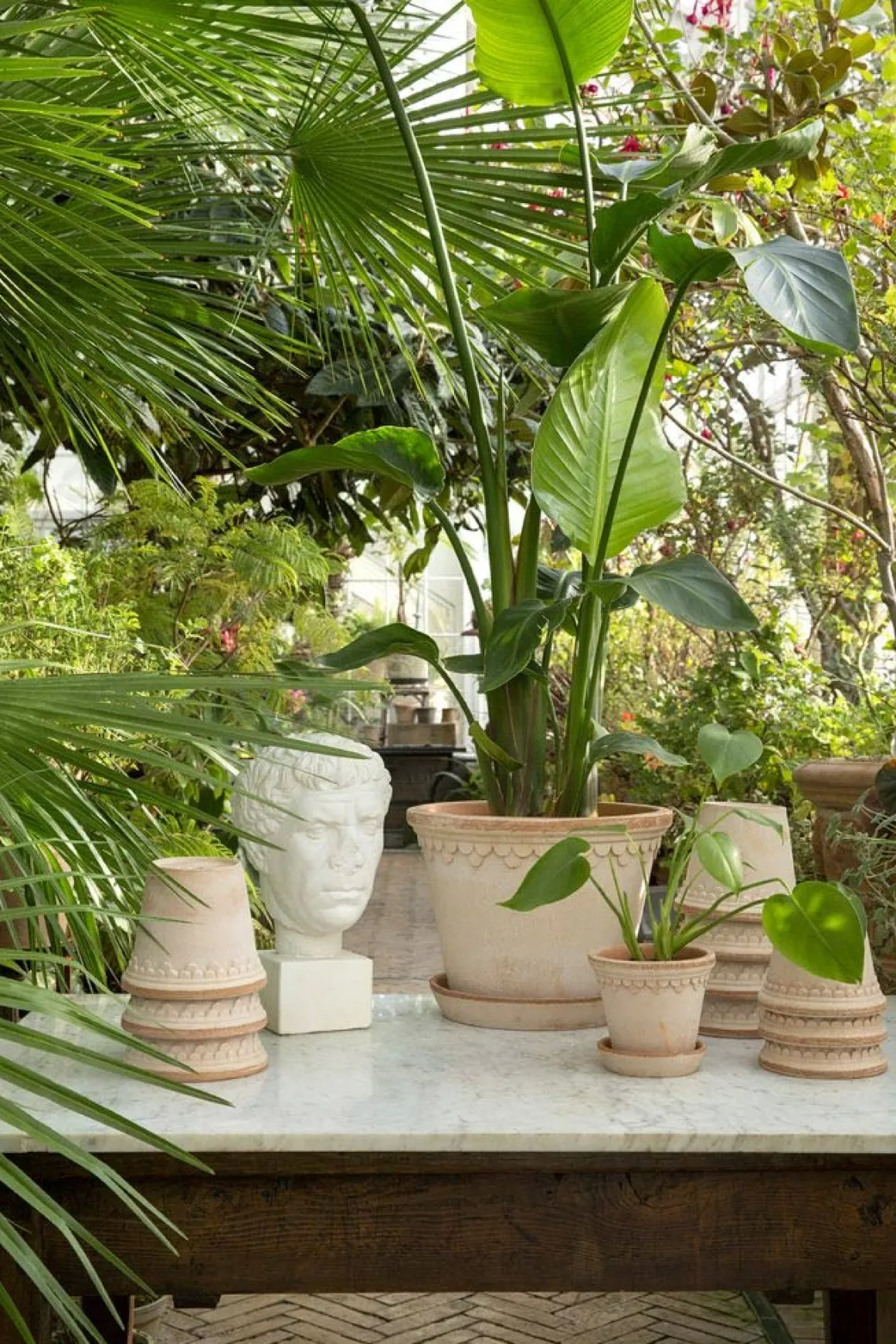 Potte - Københavner m/Skål Rose