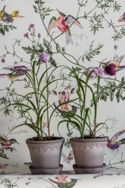 Potteplante - Frittilaria h30cm