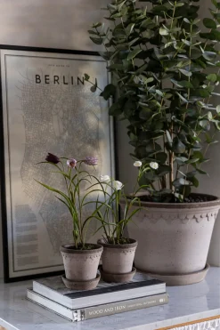 Potteplante - Frittillaria H25cm