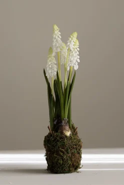 Potteplante - Perleblomst H25cm