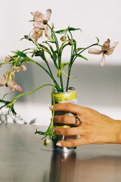 Ring - Thorn Band Ring II