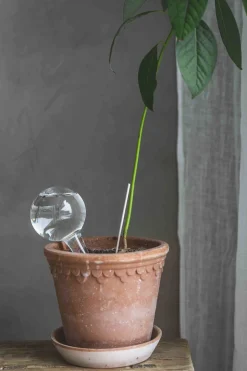 Selvvanningsglass - Olivia Rund  H26cm