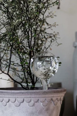 Selvvanningsglass - Olivia Rund  H26cm