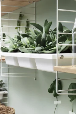 Skålhylle - Plastikk 78x30 Hvit