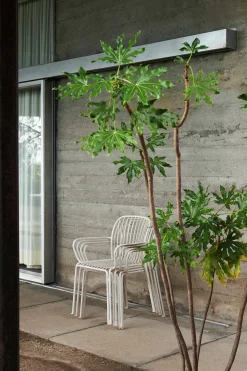 Spisestol - Thorvald Armchair SC95 Ivory