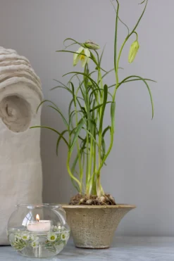 Telysholder - Ball dia10cm