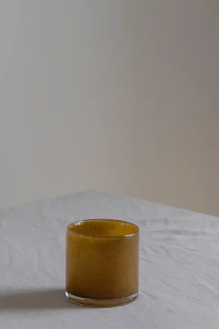 Telysholder - Lyric S Brown