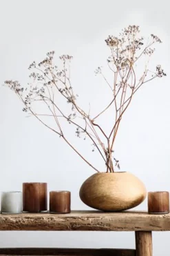 Telysholder - Lyric S Brown