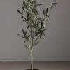 Tre - Oliven H90cm